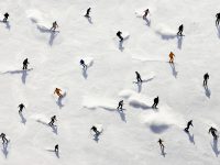 Skisportens utøvere er de mest populære